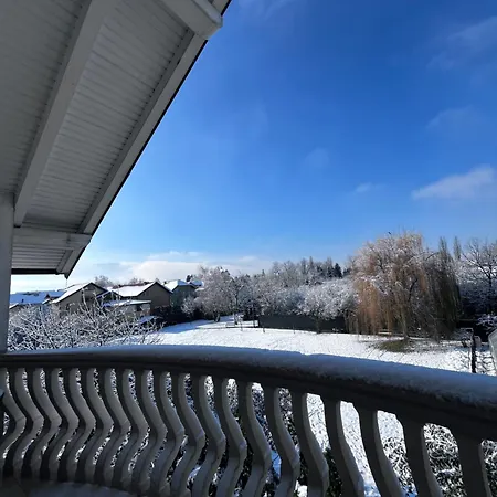 Dudex * 塞拉耶佛